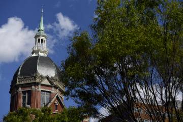 The Dome with blue skies behind it and a green leafy tree in the foreground in April 2020